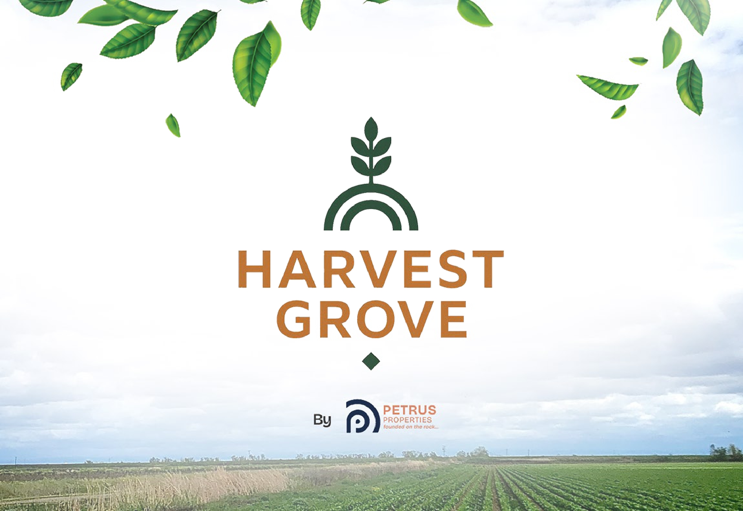 harvest grove by petrus land promo