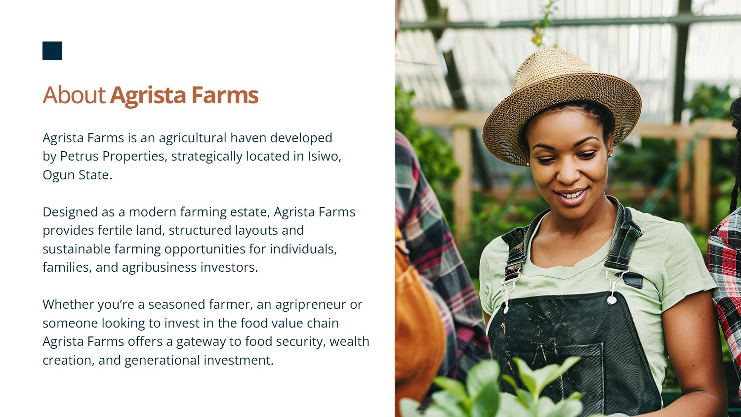 Agrista Farms Promo flyer