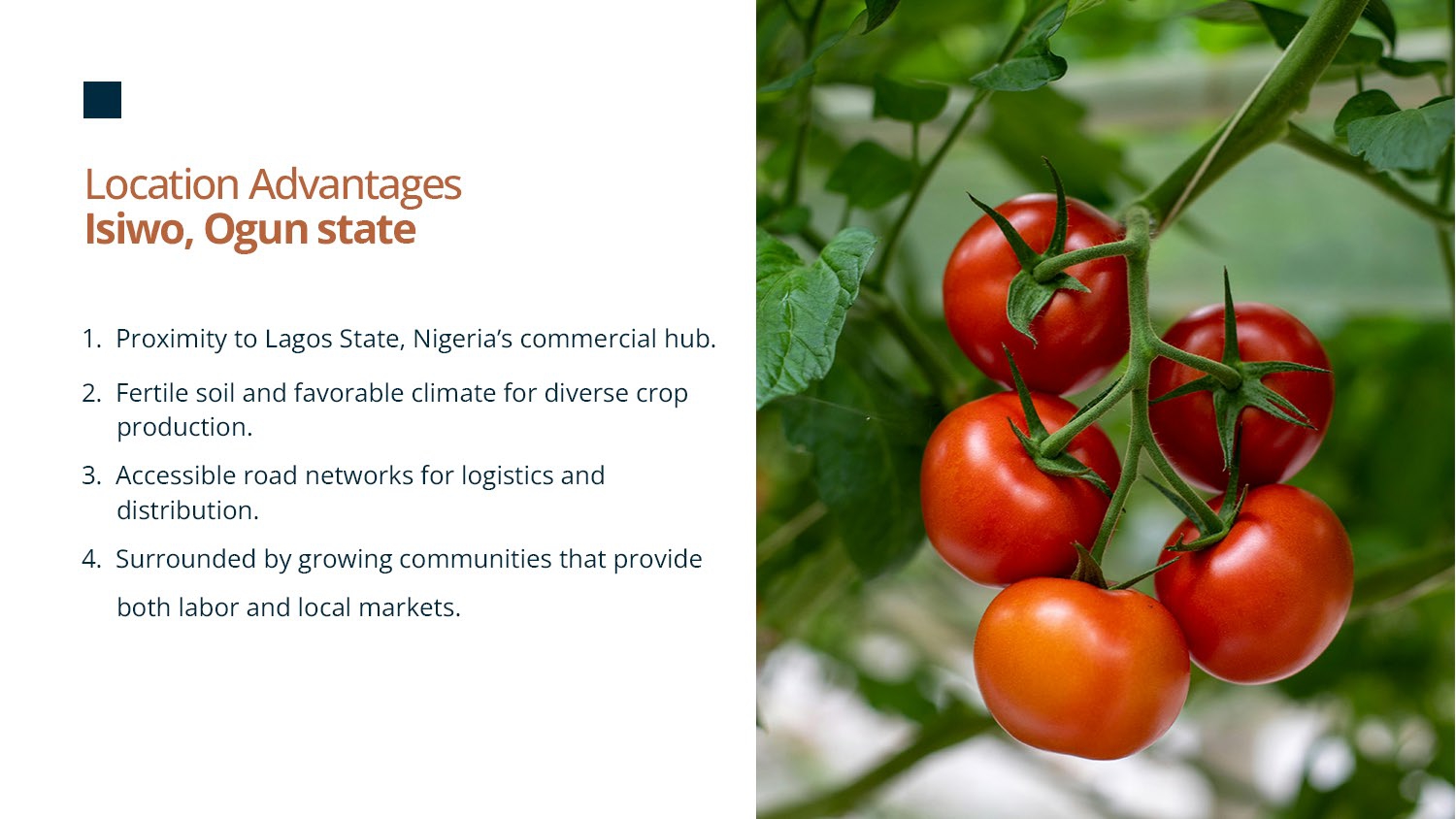 Agrista Farms Promo flyer